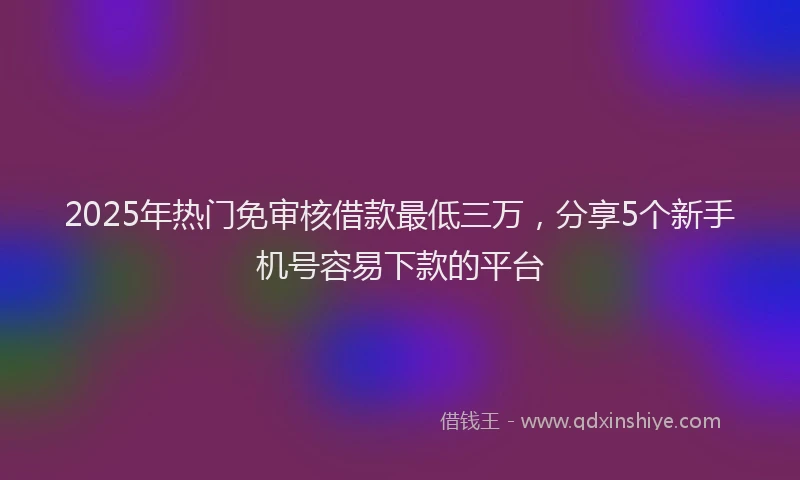 2025年热门免审核借款最低三万，分享5个新手机号容易下款的平台