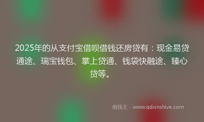2025年的从支付宝借呗借钱还房贷有：现金易贷通途、瑞宝钱包、掌上贷通、钱袋快融途、臻心贷等。