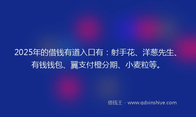 2025年的借钱有道入口有：射手花、洋葱先生、有钱钱包、翼支付橙分期、小麦粒等。