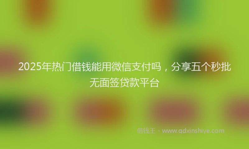 2025年热门借钱能用微信支付吗，分享五个秒批无面签贷款平台