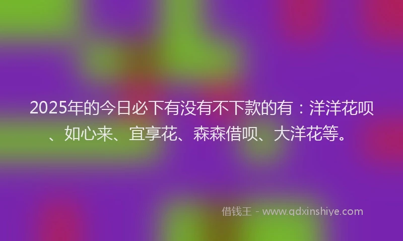 2025年的今日必下有没有不下款的有：洋洋花呗、如心来、宜享花、森森借呗、大洋花等。