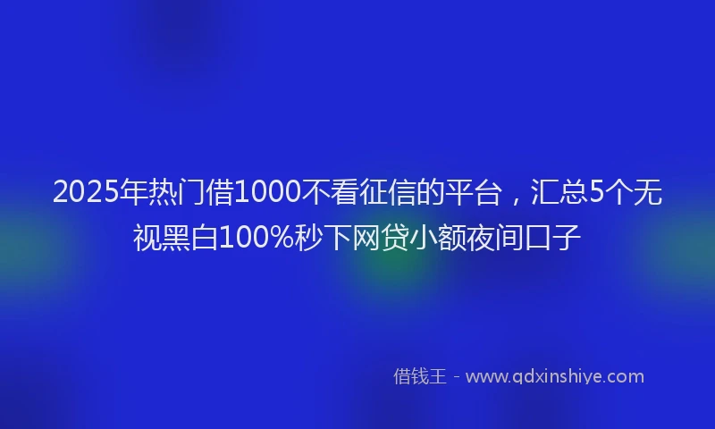 2025年热门借1000不看征信的平台，汇总5个无视黑白100%秒下网贷小额夜间口子