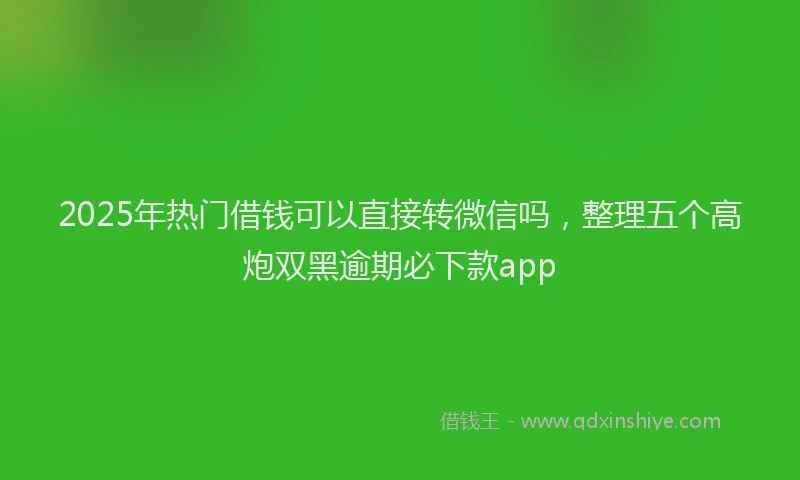 2025年热门借钱可以直接转微信吗，整理五个高炮双黑逾期必下款app