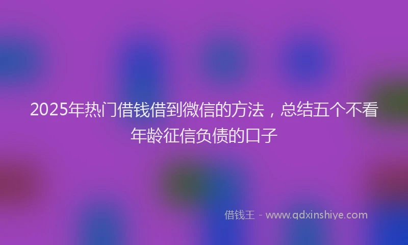 2025年热门借钱借到微信的方法，总结五个不看年龄征信负债的口子