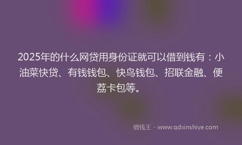 2025年的什么网贷用身份证就可以借到钱有：小油菜快贷、有钱钱包、快鸟钱包、招联金融、便荔卡包等。