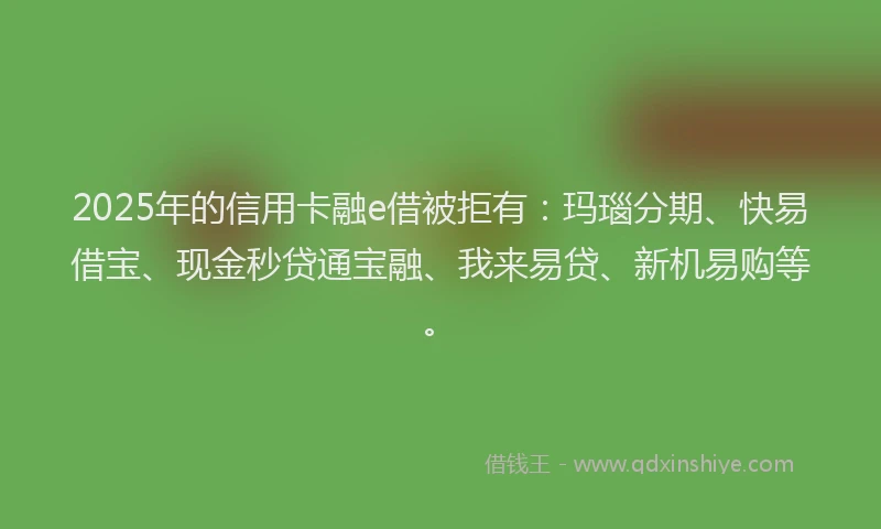 2025年的信用卡融e借被拒有：玛瑙分期、快易借宝、现金秒贷通宝融、我来易贷、新机易购等。