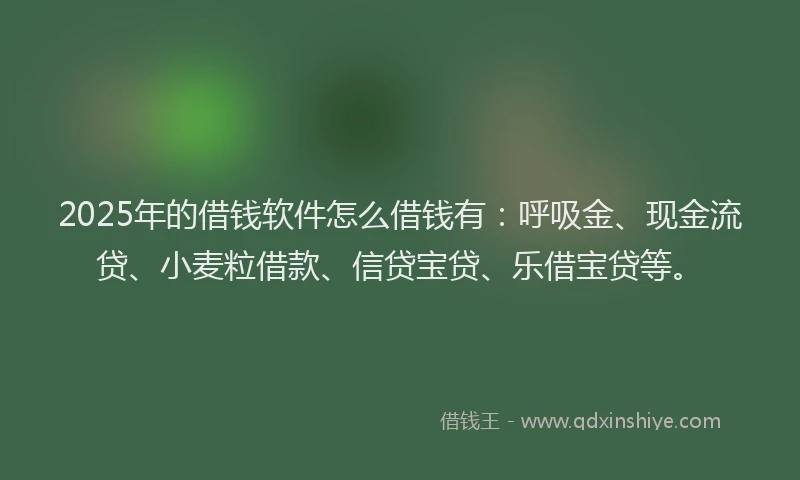 2025年的借钱软件怎么借钱有：呼吸金、现金流贷、小麦粒借款、信贷宝贷、乐借宝贷等。