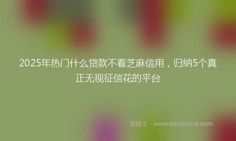 2025年热门什么贷款不看芝麻信用，归纳5个真正无视征信花的平台