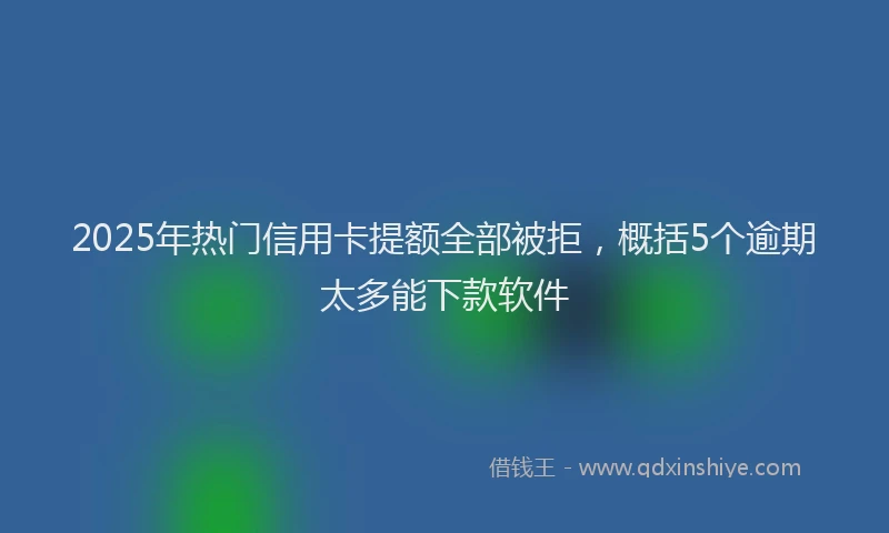2025年热门信用卡提额全部被拒，概括5个逾期太多能下款软件