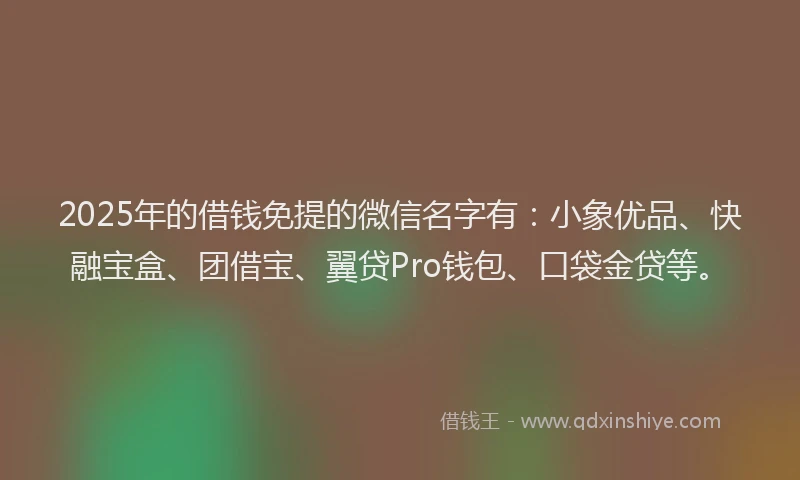 2025年的借钱免提的微信名字有：小象优品、快融宝盒、团借宝、翼贷Pro钱包、口袋金贷等。
