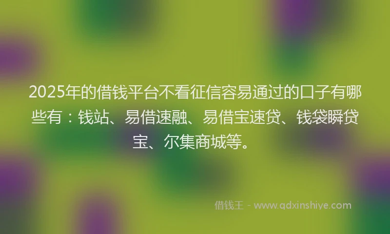 2025年的借钱平台不看征信容易通过的口子有哪些有：钱站、易借速融、易借宝速贷、钱袋瞬贷宝、尔集商城等。