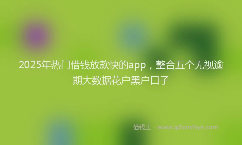 2025年热门借钱放款快的app，整合五个无视逾期大数据花户黑户口子