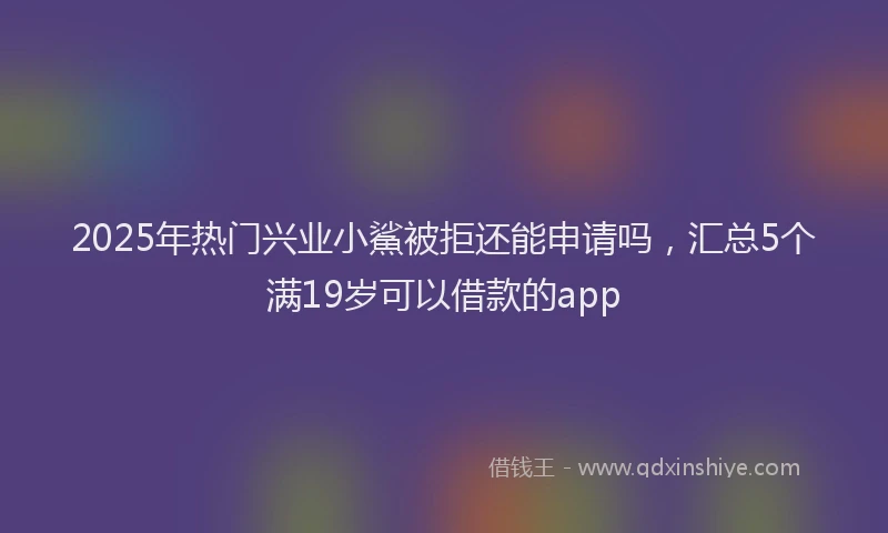 2025年热门兴业小鯊被拒还能申请吗，汇总5个满19岁可以借款的app
