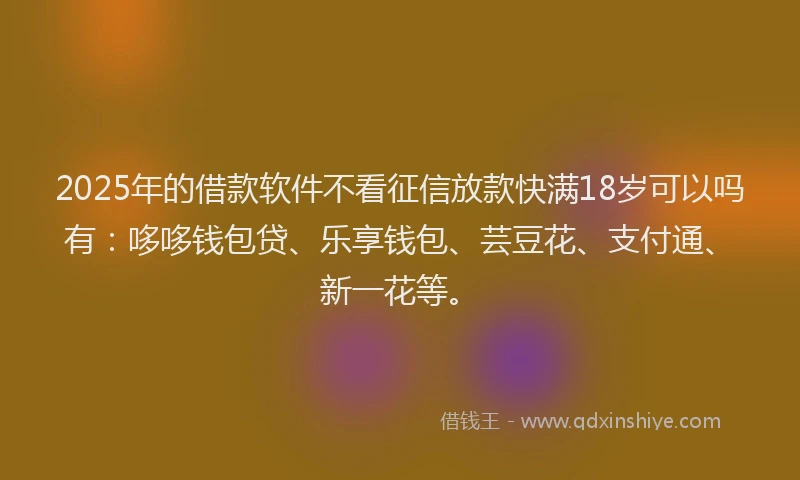 2025年的借款软件不看征信放款快满18岁可以吗有：哆哆钱包贷、乐享钱包、芸豆花、支付通、新一花等。
