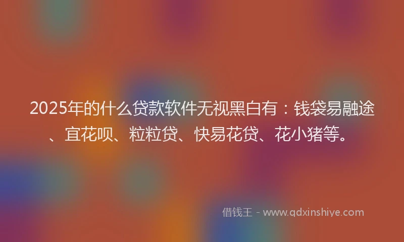 2025年的什么贷款软件无视黑白有：钱袋易融途、宜花呗、粒粒贷、快易花贷、花小猪等。
