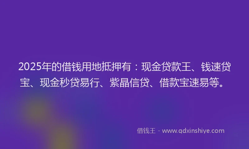 2025年的借钱用地抵押有：现金贷款王、钱速贷宝、现金秒贷易行、紫晶信贷、借款宝速易等。