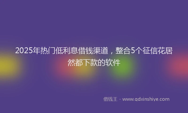2025年热门低利息借钱渠道，整合5个征信花居然都下款的软件