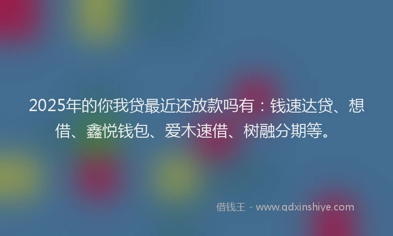 2025年的你我贷最近还放款吗有：钱速达贷、想借、鑫悦钱包、爱木速借、树融分期等。