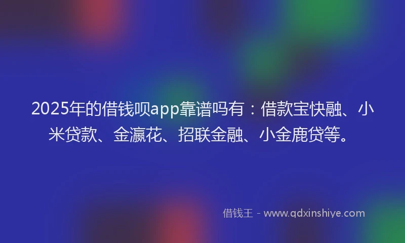 2025年的借钱呗app靠谱吗有：借款宝快融、小米贷款、金瀛花、招联金融、小金鹿贷等。