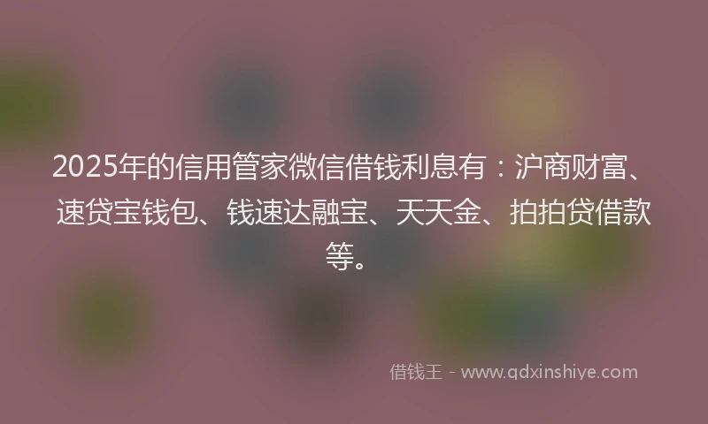 2025年的信用管家微信借钱利息有：沪商财富、速贷宝钱包、钱速达融宝、天天金、拍拍贷借款等。