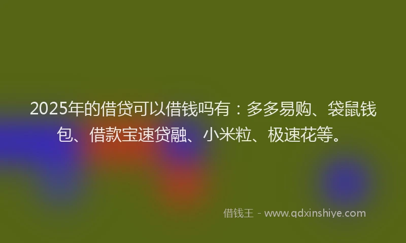 2025年的借贷可以借钱吗有：多多易购、袋鼠钱包、借款宝速贷融、小米粒、极速花等。