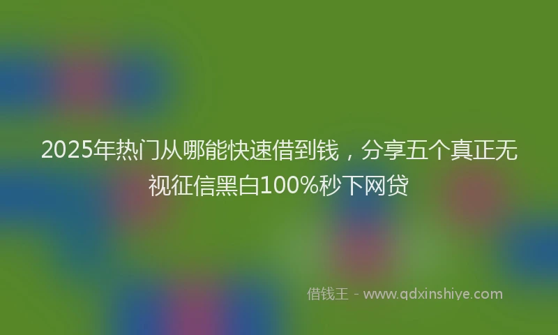 2025年热门从哪能快速借到钱，分享五个真正无视征信黑白100%秒下网贷