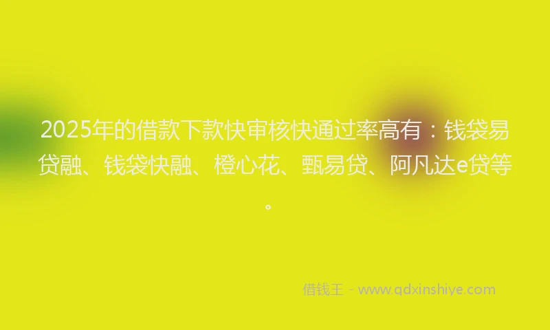 2025年的借款下款快审核快通过率高有：钱袋易贷融、钱袋快融、橙心花、甄易贷、阿凡达e贷等。