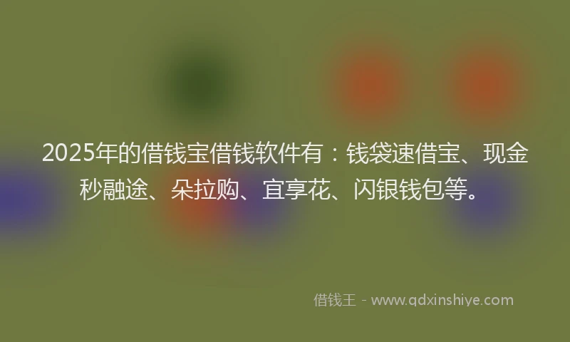 2025年的借钱宝借钱软件有：钱袋速借宝、现金秒融途、朵拉购、宜享花、闪银钱包等。