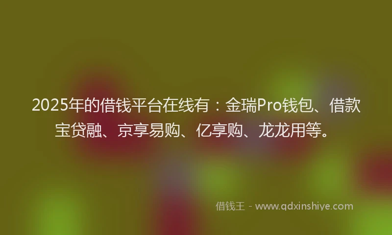 2025年的借钱平台在线有：金瑞Pro钱包、借款宝贷融、京享易购、亿享购、龙龙用等。