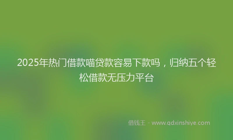 2025年热门借款喵贷款容易下款吗，归纳五个轻松借款无压力平台