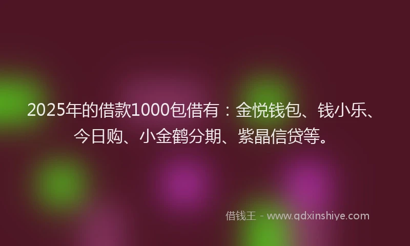 2025年的借款1000包借有：金悦钱包、钱小乐、今日购、小金鹤分期、紫晶信贷等。