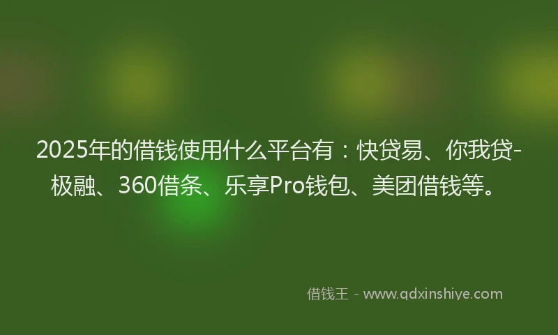 2025年的借钱使用什么平台有：快贷易、你我贷-极融、360借条、乐享Pro钱包、美团借钱等。