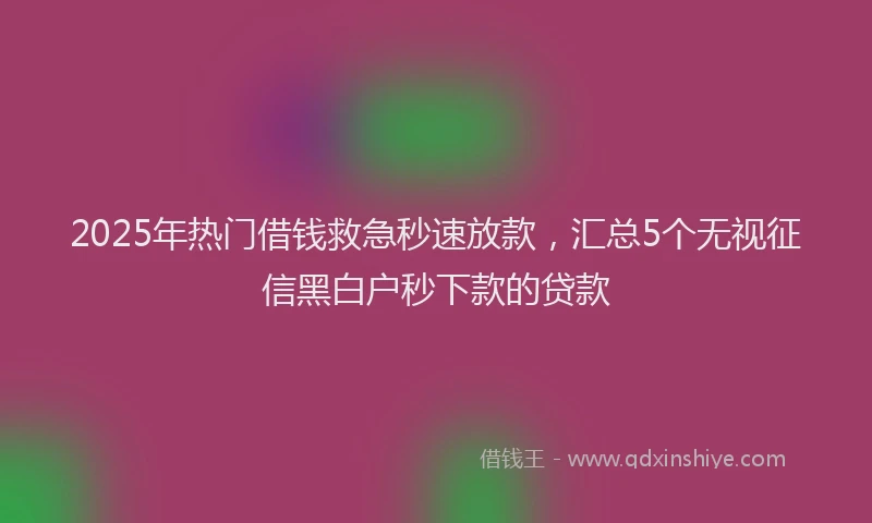 2025年热门借钱救急秒速放款，汇总5个无视征信黑白户秒下款的贷款