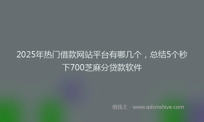 2025年热门借款网站平台有哪几个，总结5个秒下700芝麻分贷款软件