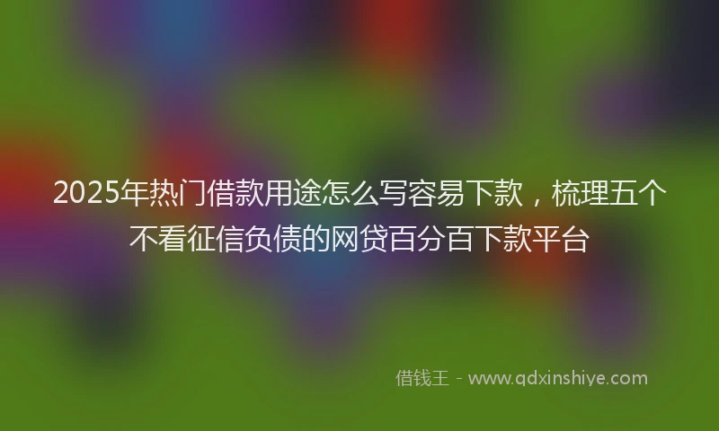 2025年热门借款用途怎么写容易下款，梳理五个不看征信负债的网贷百分百下款平台