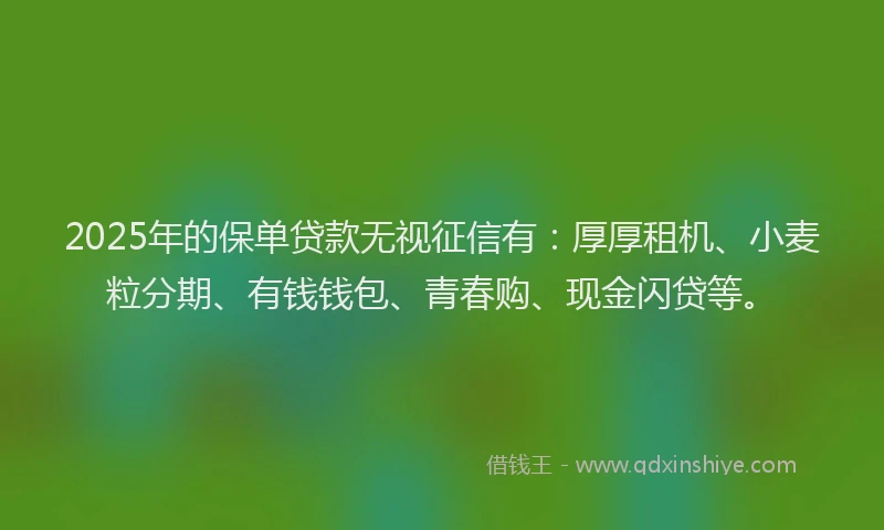 2025年的保单贷款无视征信有：厚厚租机、小麦粒分期、有钱钱包、青春购、现金闪贷等。