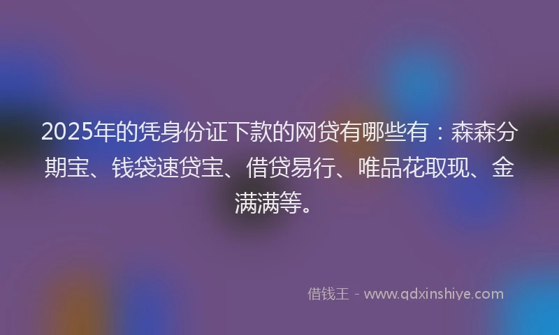 2025年的凭身份证下款的网贷有哪些有：森森分期宝、钱袋速贷宝、借贷易行、唯品花取现、金满满等。