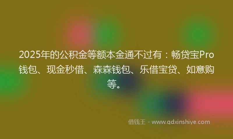 2025年的公积金等额本金通不过有：畅贷宝Pro钱包、现金秒借、森森钱包、乐借宝贷、如意购等。
