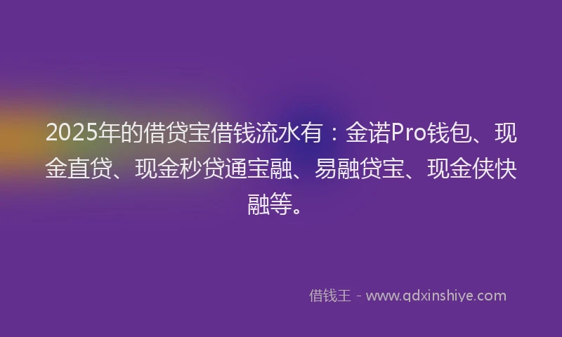 2025年的借贷宝借钱流水有：金诺Pro钱包、现金直贷、现金秒贷通宝融、易融贷宝、现金侠快融等。