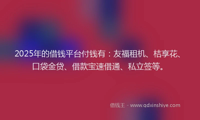 2025年的借钱平台付钱有：友福租机、桔享花、口袋金贷、借款宝速借通、私立签等。
