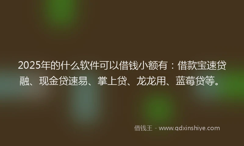 2025年的什么软件可以借钱小额有：借款宝速贷融、现金贷速易、掌上贷、龙龙用、蓝莓贷等。