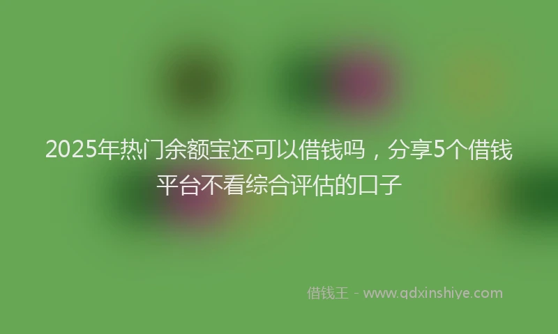 2025年热门余额宝还可以借钱吗，分享5个借钱平台不看综合评估的口子