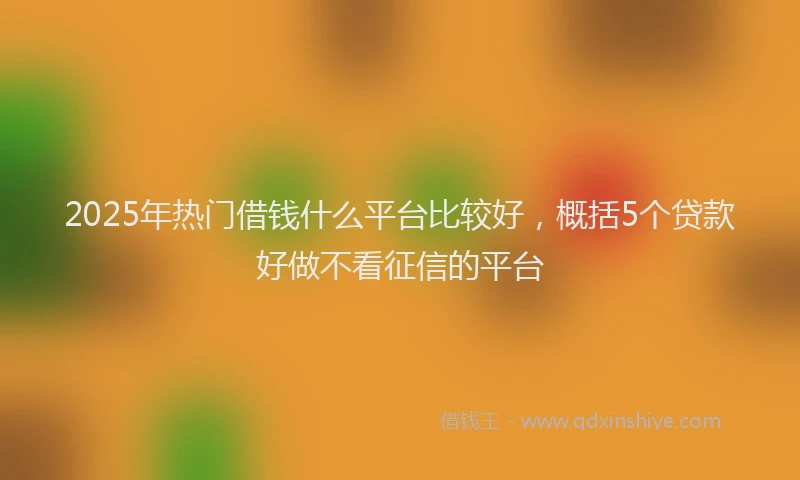2025年热门借钱什么平台比较好，概括5个贷款好做不看征信的平台