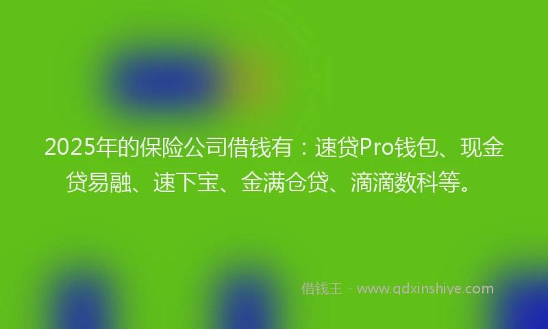2025年的保险公司借钱有：速贷Pro钱包、现金贷易融、速下宝、金满仓贷、滴滴数科等。