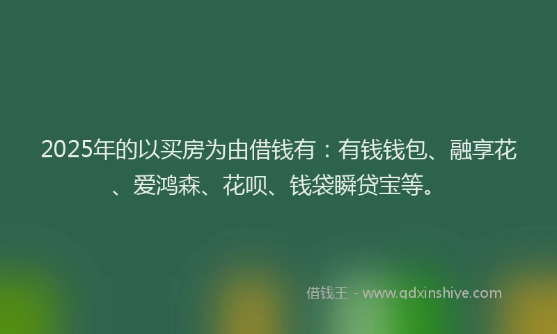 2025年的以买房为由借钱有：有钱钱包、融享花、爱鸿森、花呗、钱袋瞬贷宝等。