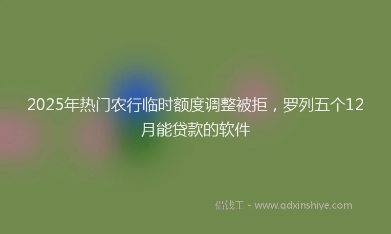 2025年热门农行临时额度调整被拒，罗列五个12月能贷款的软件