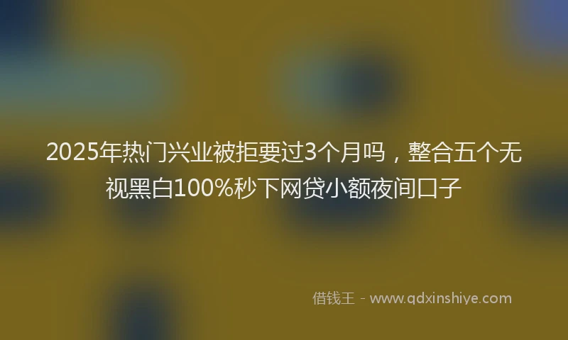 2025年热门兴业被拒要过3个月吗，整合五个无视黑白100%秒下网贷小额夜间口子