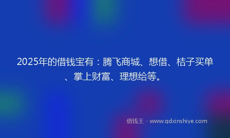 2025年的借钱宝有：腾飞商城、想借、桔子买单、掌上财富、理想给等。