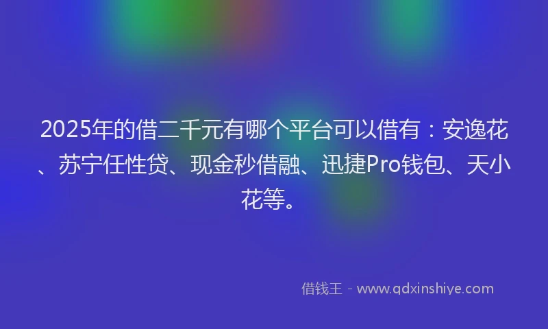 2025年的借二千元有哪个平台可以借有：安逸花、苏宁任性贷、现金秒借融、迅捷Pro钱包、天小花等。