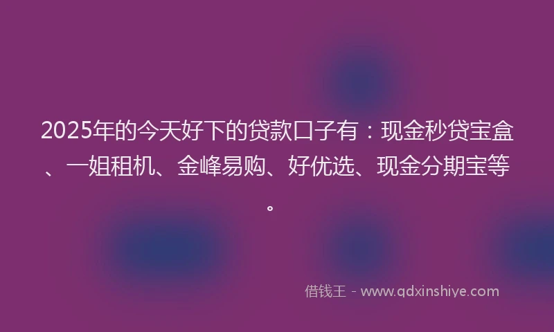 2025年的今天好下的贷款口子有：现金秒贷宝盒、一姐租机、金峰易购、好优选、现金分期宝等。